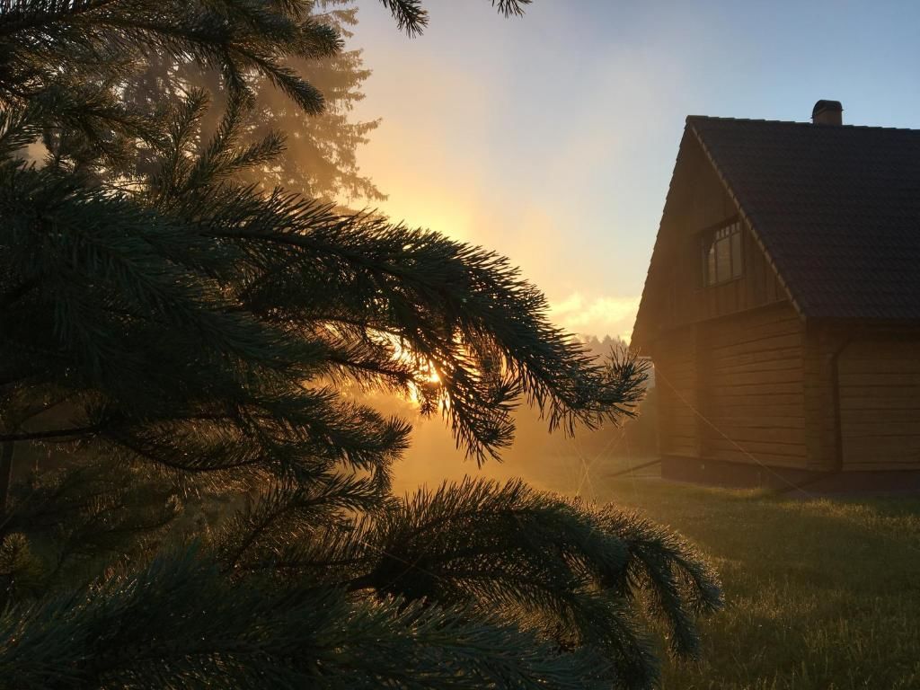 Загородные дома Ahja puhkemaja Ahja